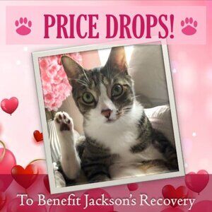 PRICE DROPS!! To Benefit Jackson's Recovery =^.^=
